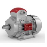 Motor Delfire 112M B3 3000rpm 4.0kW